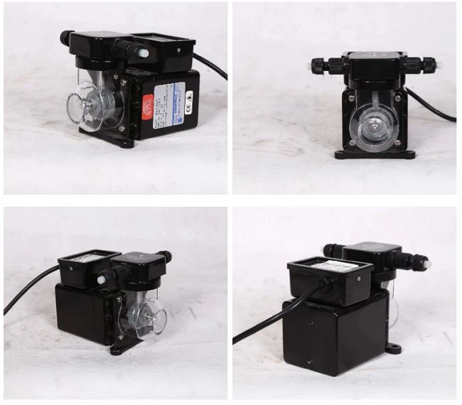 Pool Chemical Dosing Pump detail Pool Chemical Dosing Pump detail